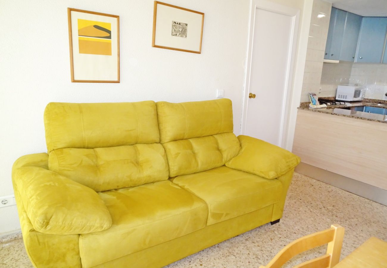 Apartment in Gandía - INFANTE E5 - 6