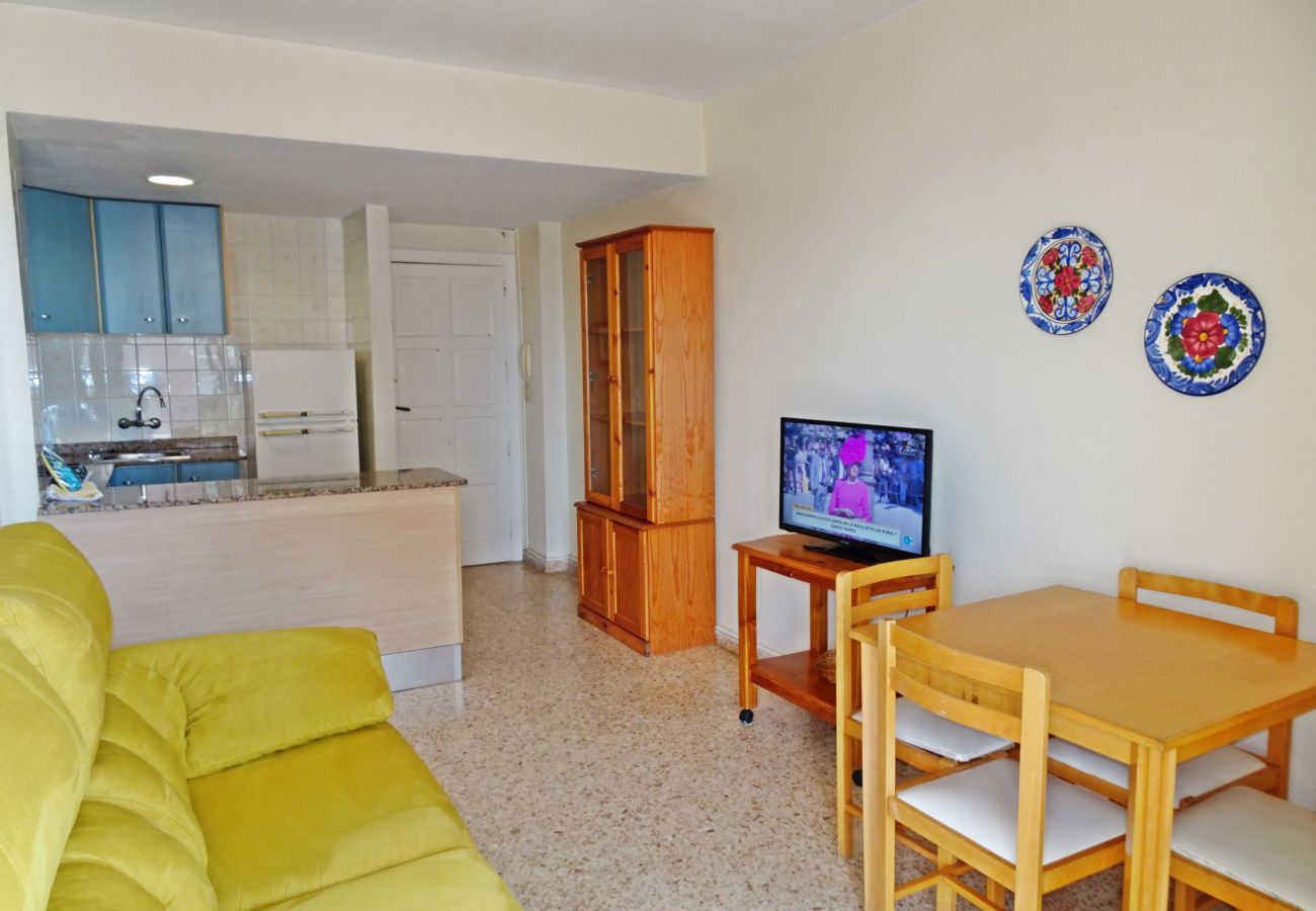 Apartment in Gandía - INFANTE E5 - 6