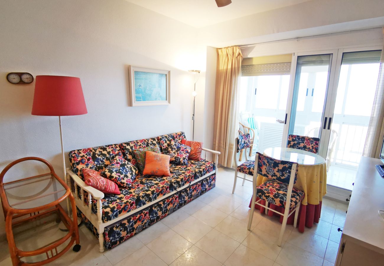 Apartment in Gandía - INFANTE E5 - 13