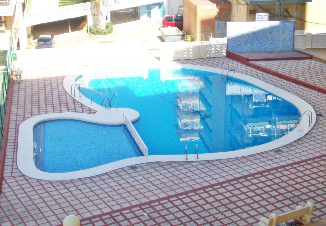 Apartment in Gandía - INFANTE A - 2º