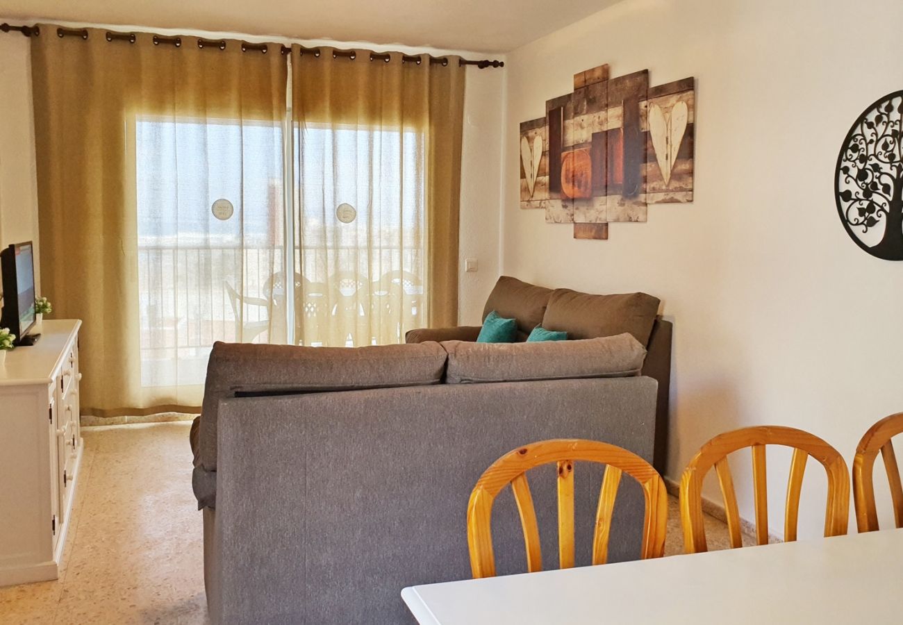 Apartment in Gandía - INFANTE B - 12º