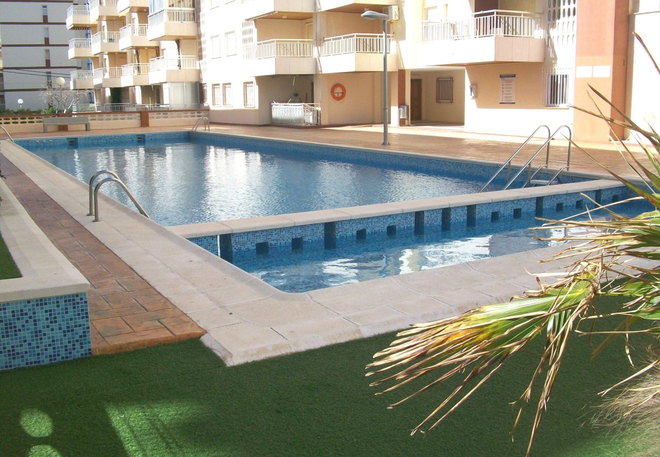 Apartment in Gandía - TORRES DEL MAR 3ª - 3º - 7