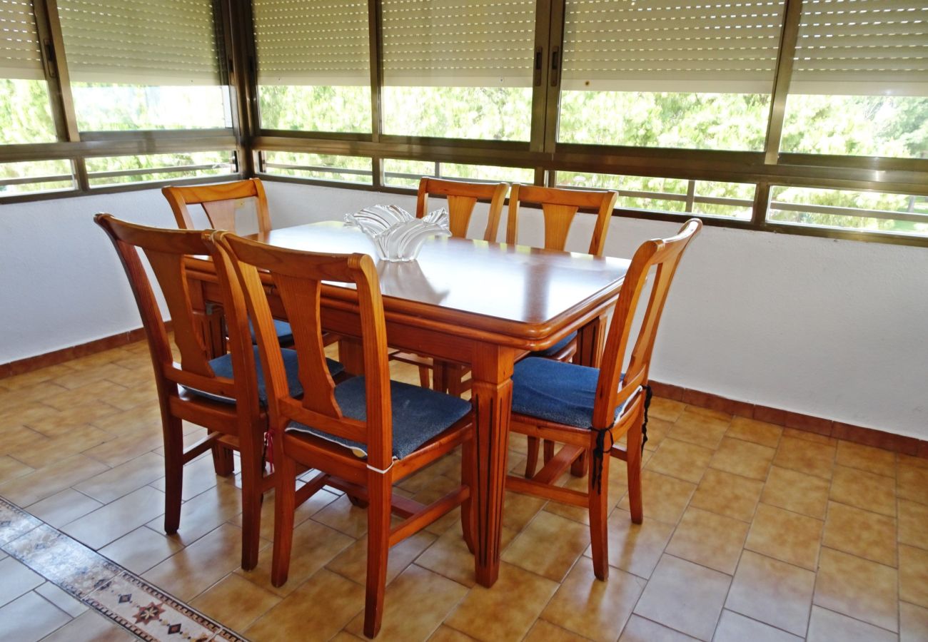 Apartment in Gandía - LAS OLAS 3º - 9ª