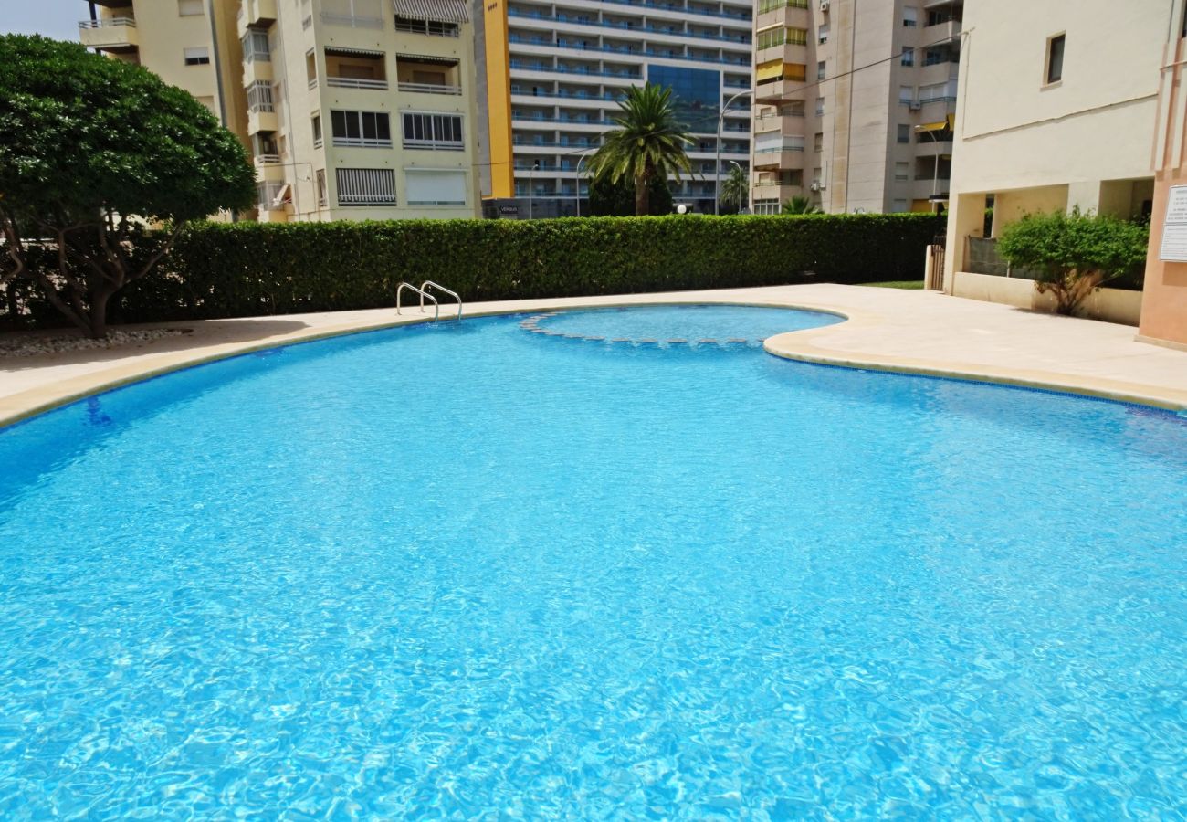 Apartment in Gandía - LAS OLAS 3º - 9ª