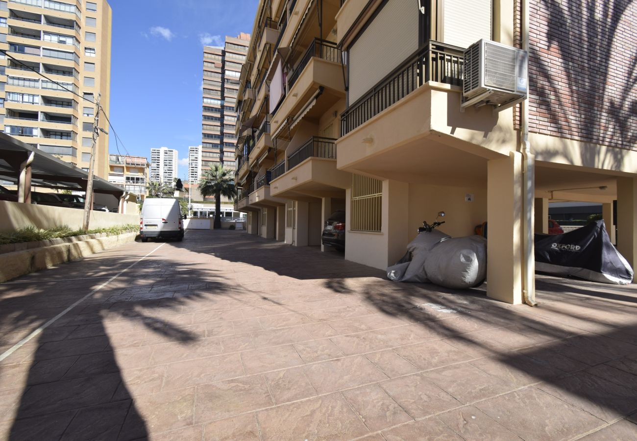 Apartment in Benidorm - PAX C-1