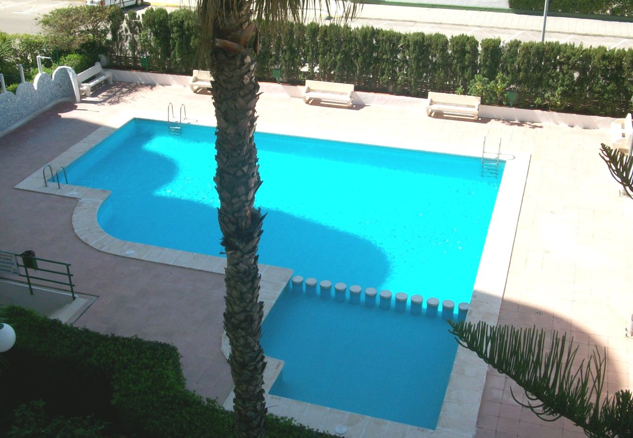 Apartment in Gandía - CANCUN III - 1ª - 7º - G