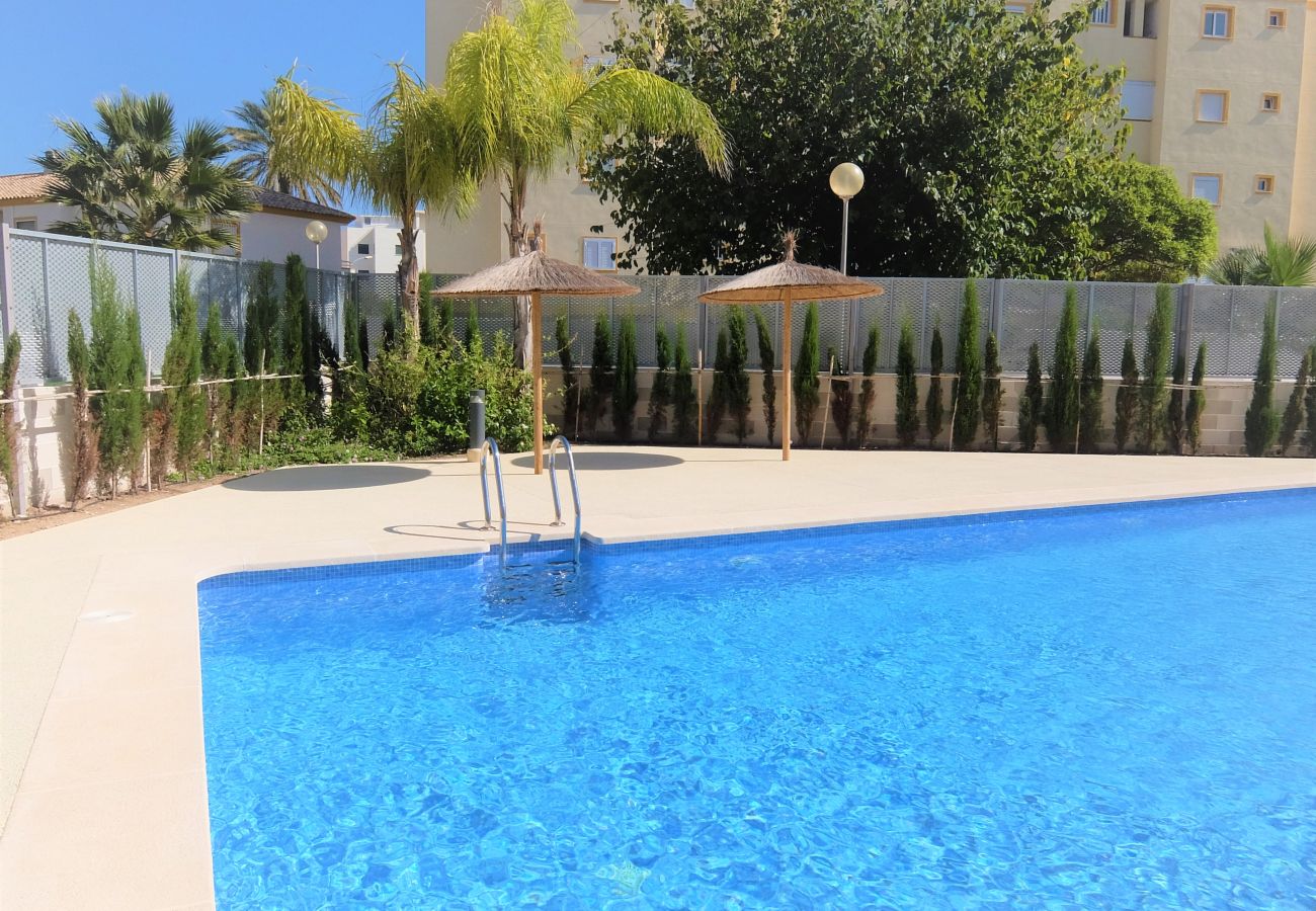 Apartment in Oliva - DUNAS VICTORIA Bl 1 -  1º - 5