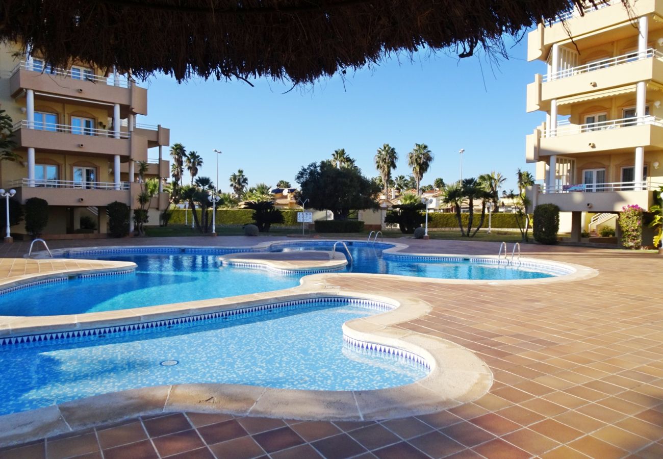 Apartment in Oliva - GOLF Y MAR 2ª - 3º - 1ª