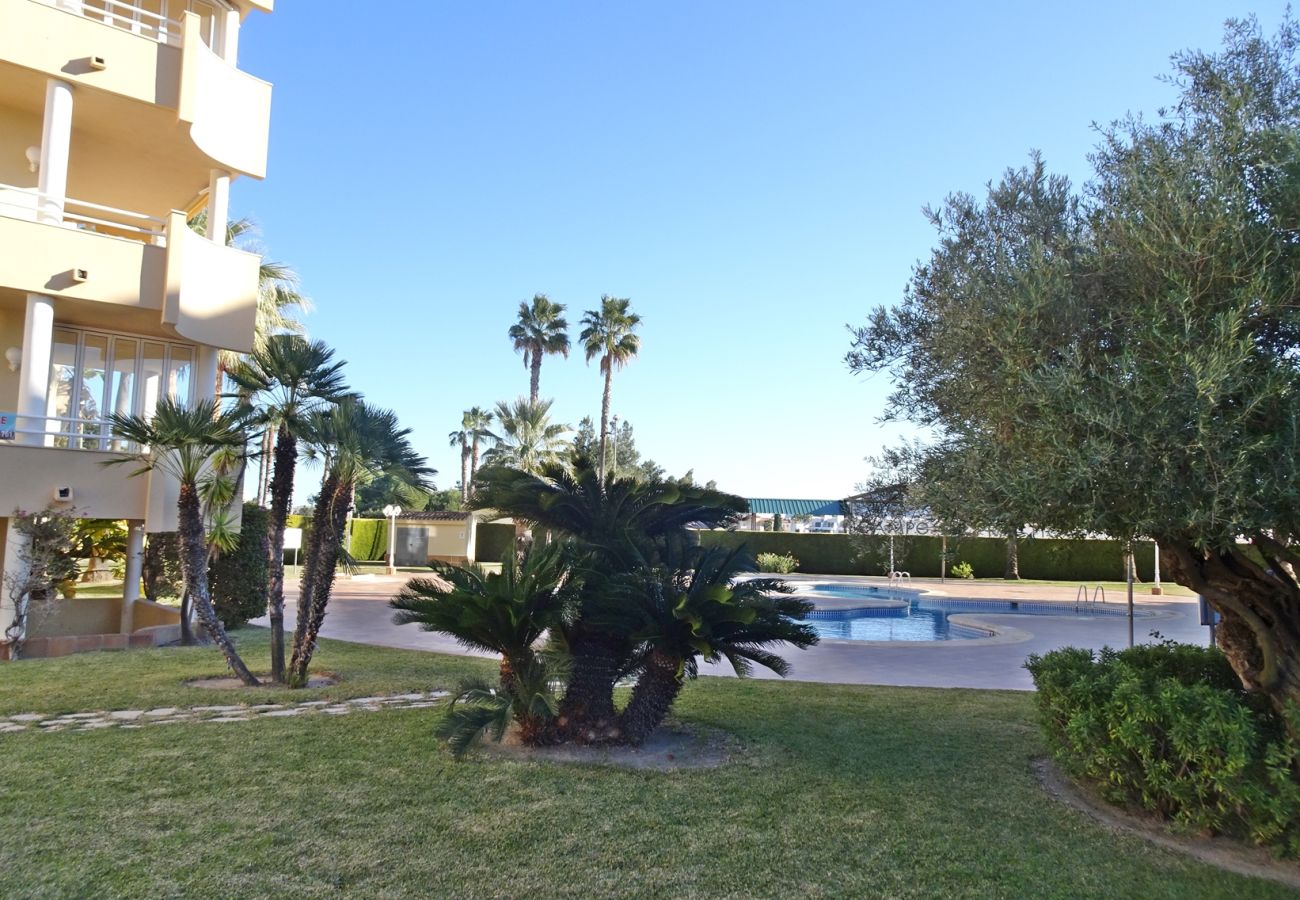 Apartment in Oliva - GOLF Y MAR 2ª - 3º - 1ª