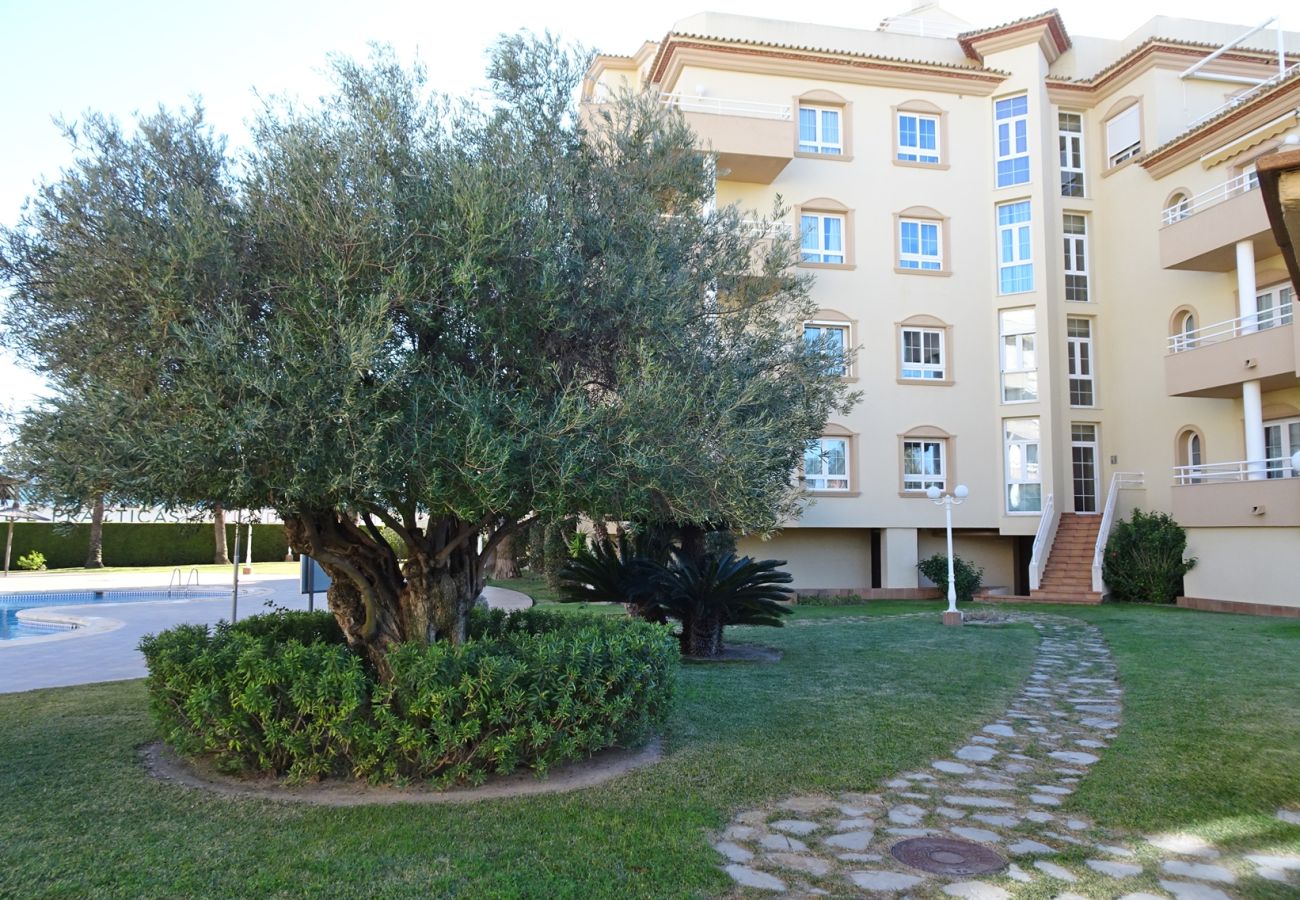 Apartment in Oliva - GOLF Y MAR 2ª - 3º - 1ª