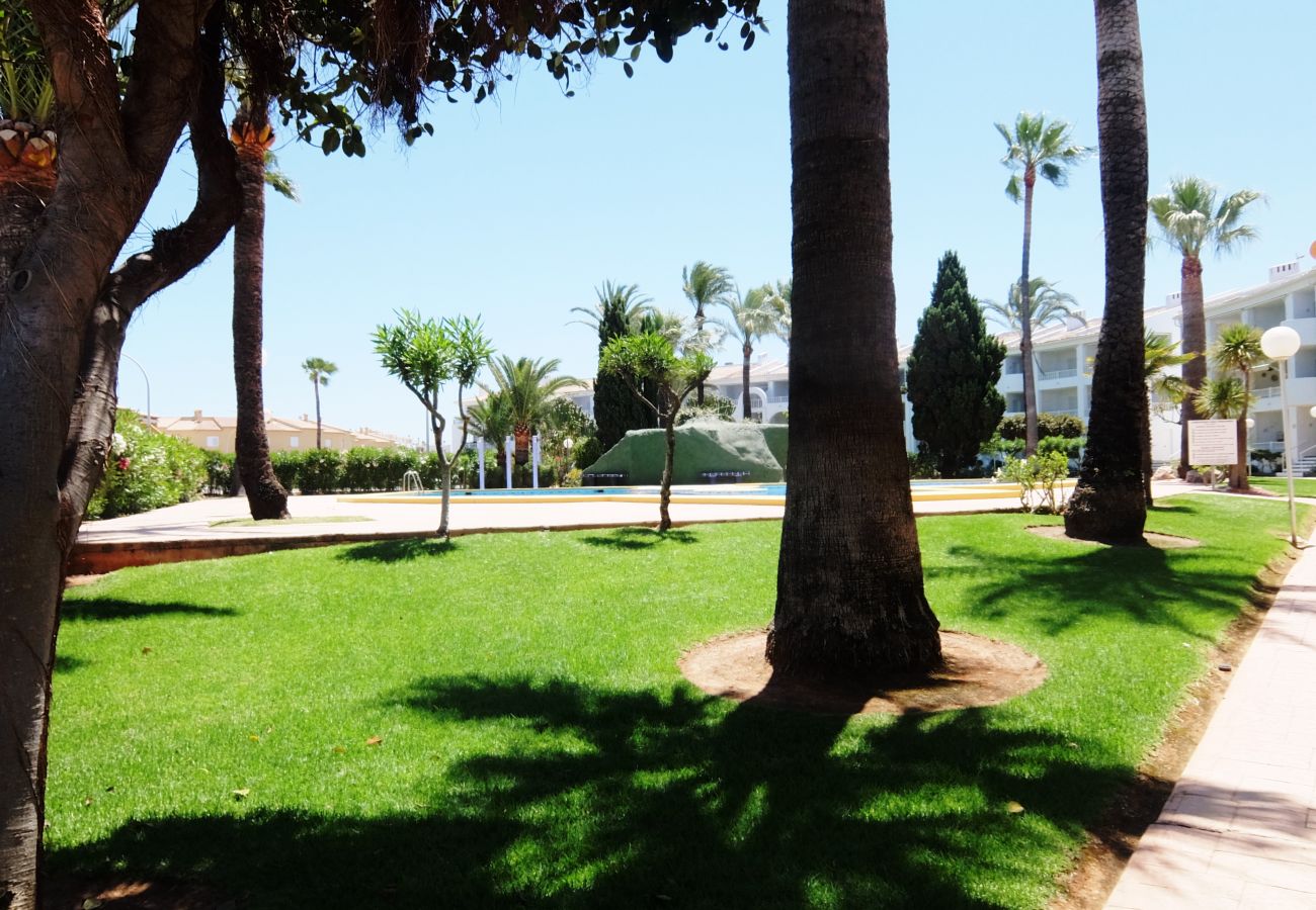 Apartment in Oliva - MEDIA LUNA E - 1º - 10