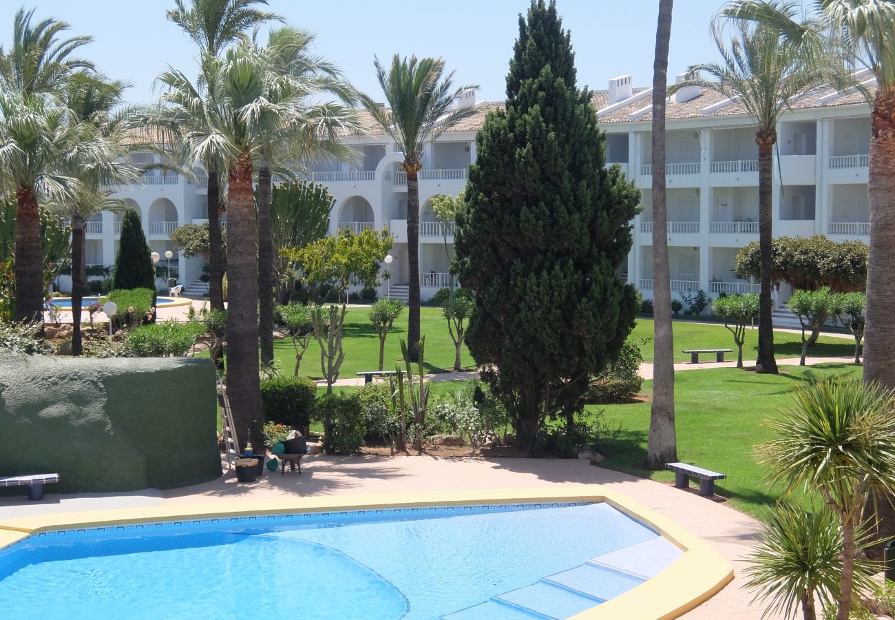 Apartment in Oliva - MEDIA LUNA E - 1º - 10