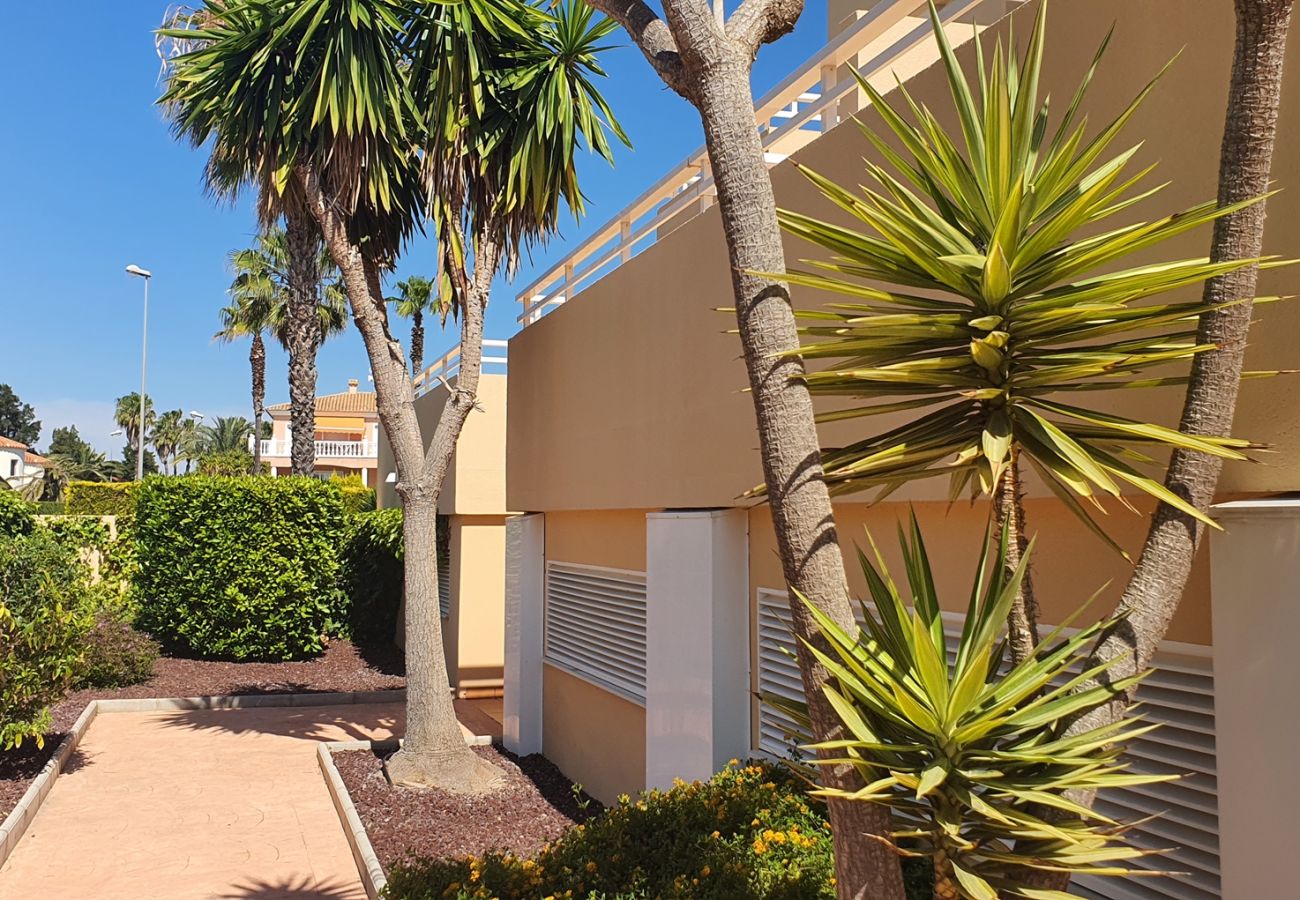 Apartment in Oliva - PAR 3 - Nº 1