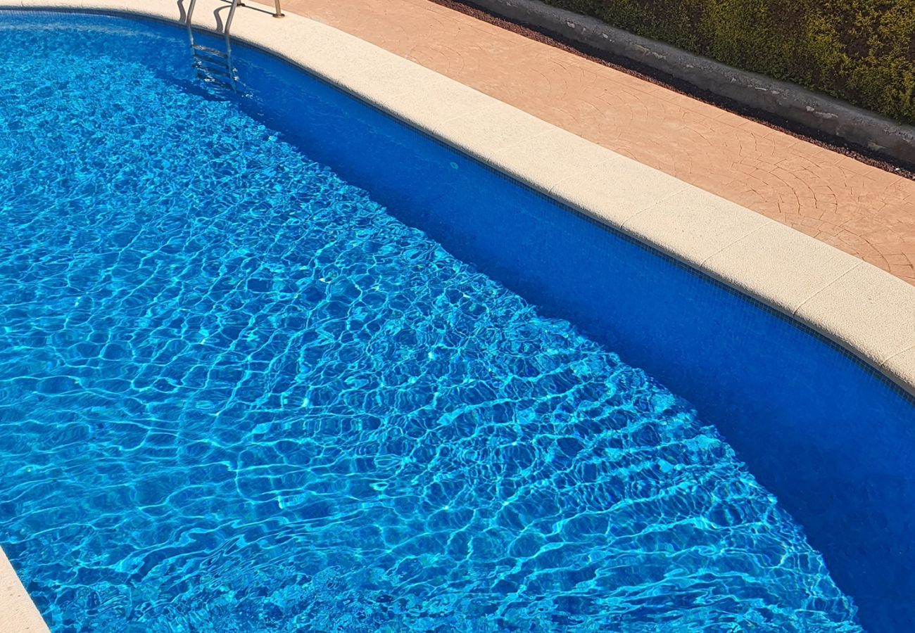 Apartment in Oliva - PAR 3 - Nº 1