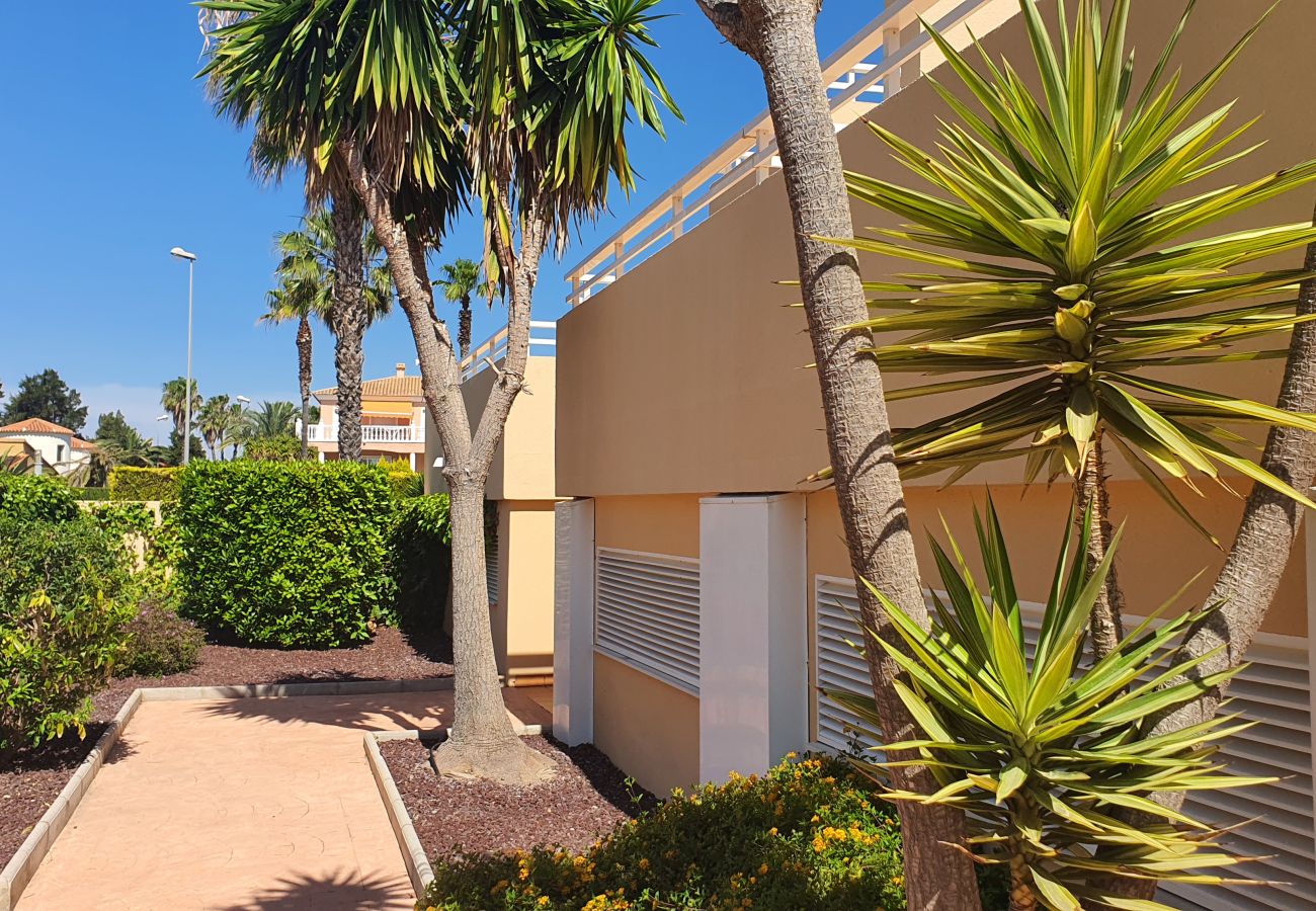 Apartment in Oliva - PAR 3 - Nº 1