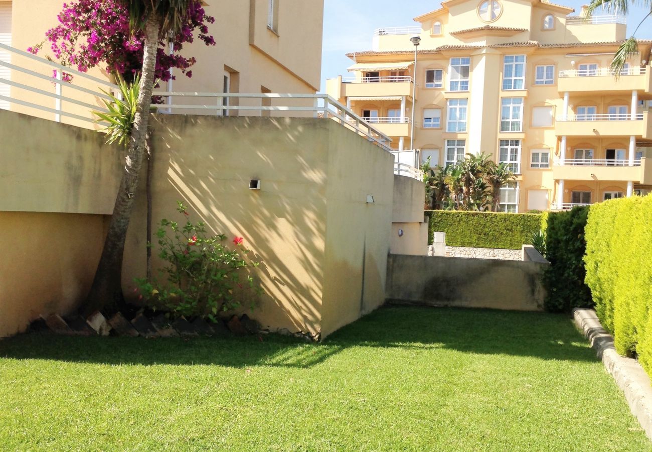 Apartment in Oliva - PAR 3 - Nº 1