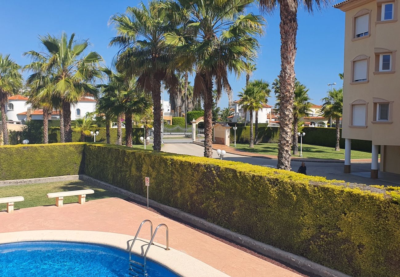 Apartment in Oliva - PAR 3 - Nº 5 Apartment in Oliva - PAR 3 - Nº 5