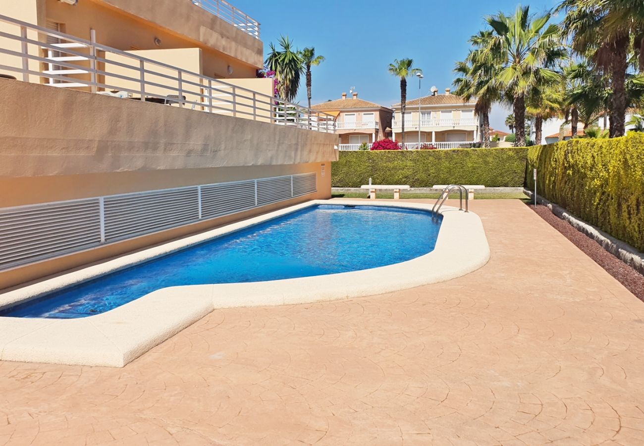 Apartment in Oliva - PAR 3 - Nº 5 Apartment in Oliva - PAR 3 - Nº 5