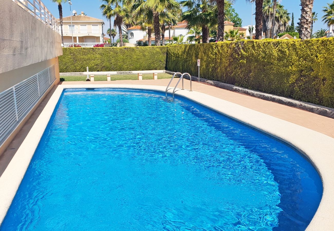 Apartment in Oliva - PAR 3 - Nº 5 Apartment in Oliva - PAR 3 - Nº 5