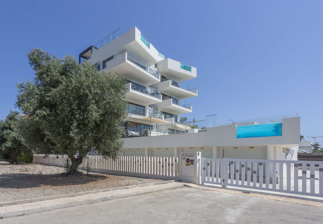 Apartment in Oliva - Picasso 28 Atico