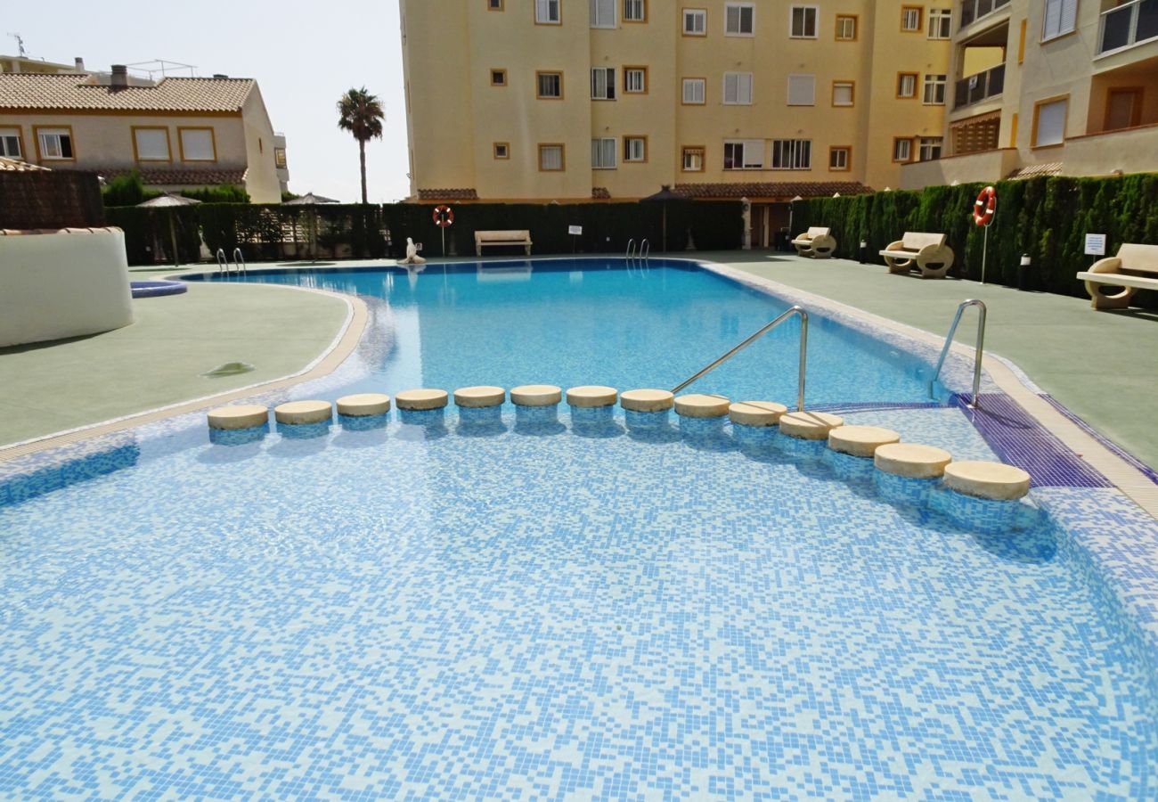 Terraced House in Oliva - POLIGONO 5 - CASA 20 Terraced House in Oliva - POLIGONO 5 - CASA 20