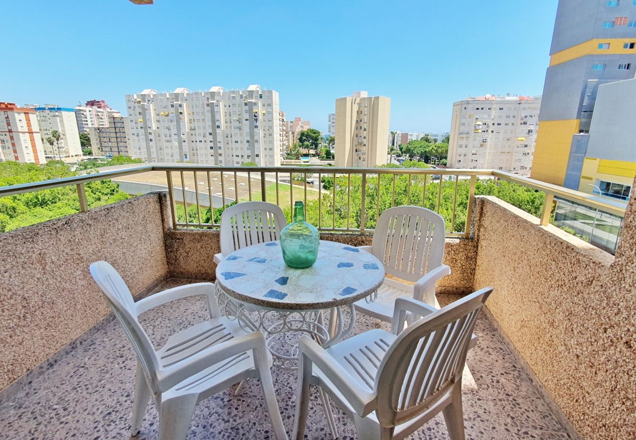 Apartment in Gandía - JARDIN I - 1ª - 6º - CENTRO
