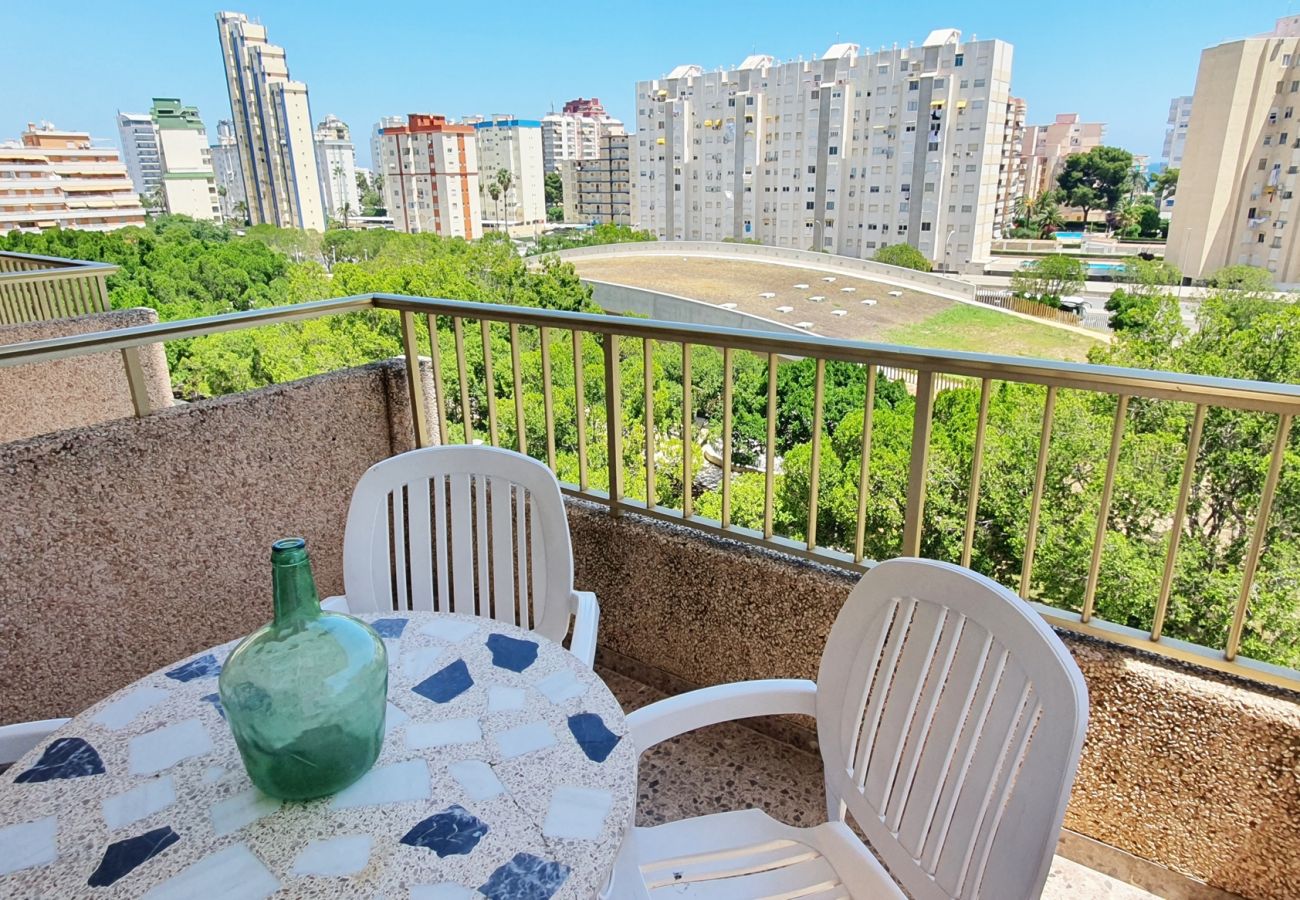 Apartment in Gandía - JARDIN I - 1ª - 6º - CENTRO