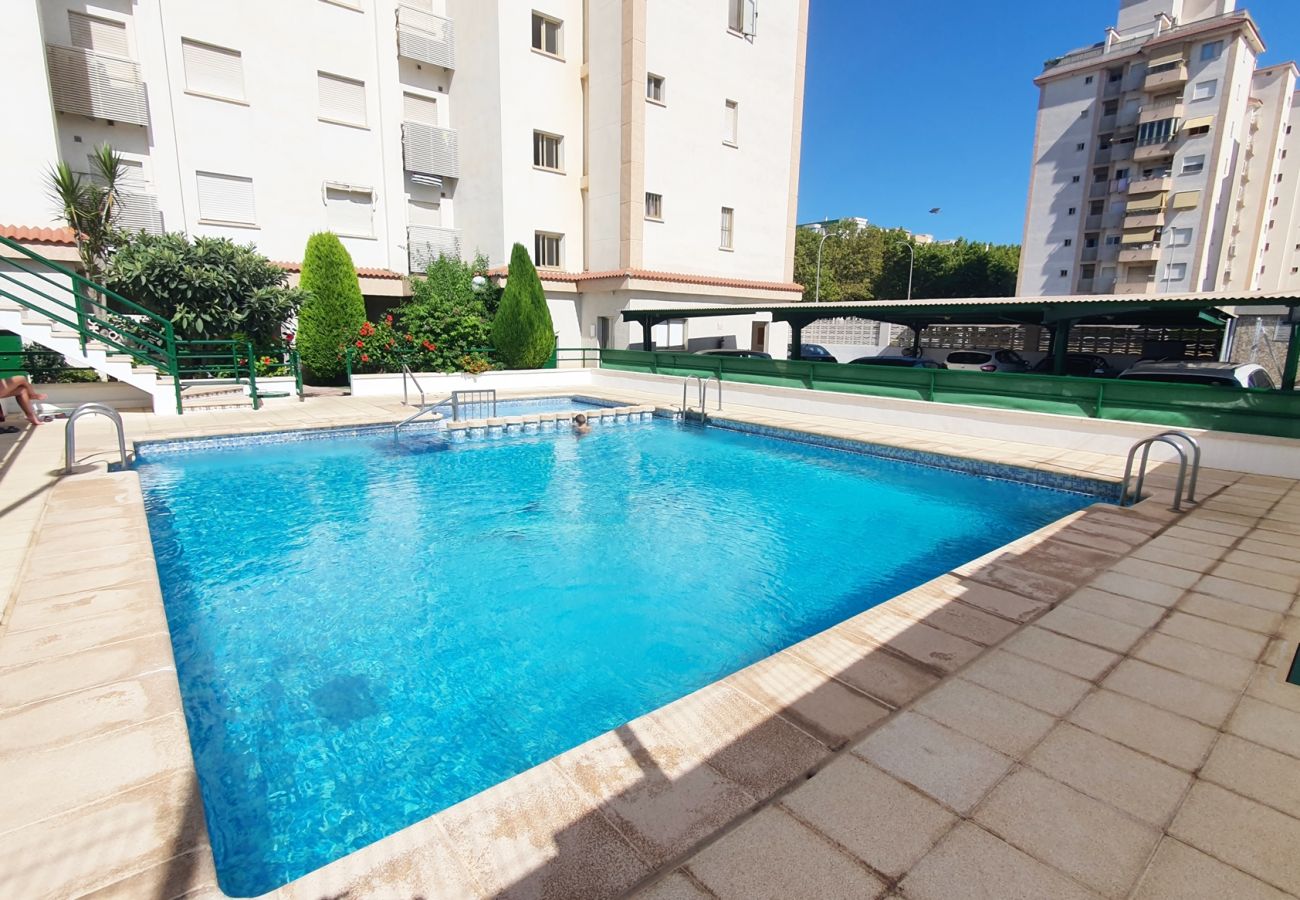 Apartment in Gandía - JARDIN VII - 1ª - 5º - B