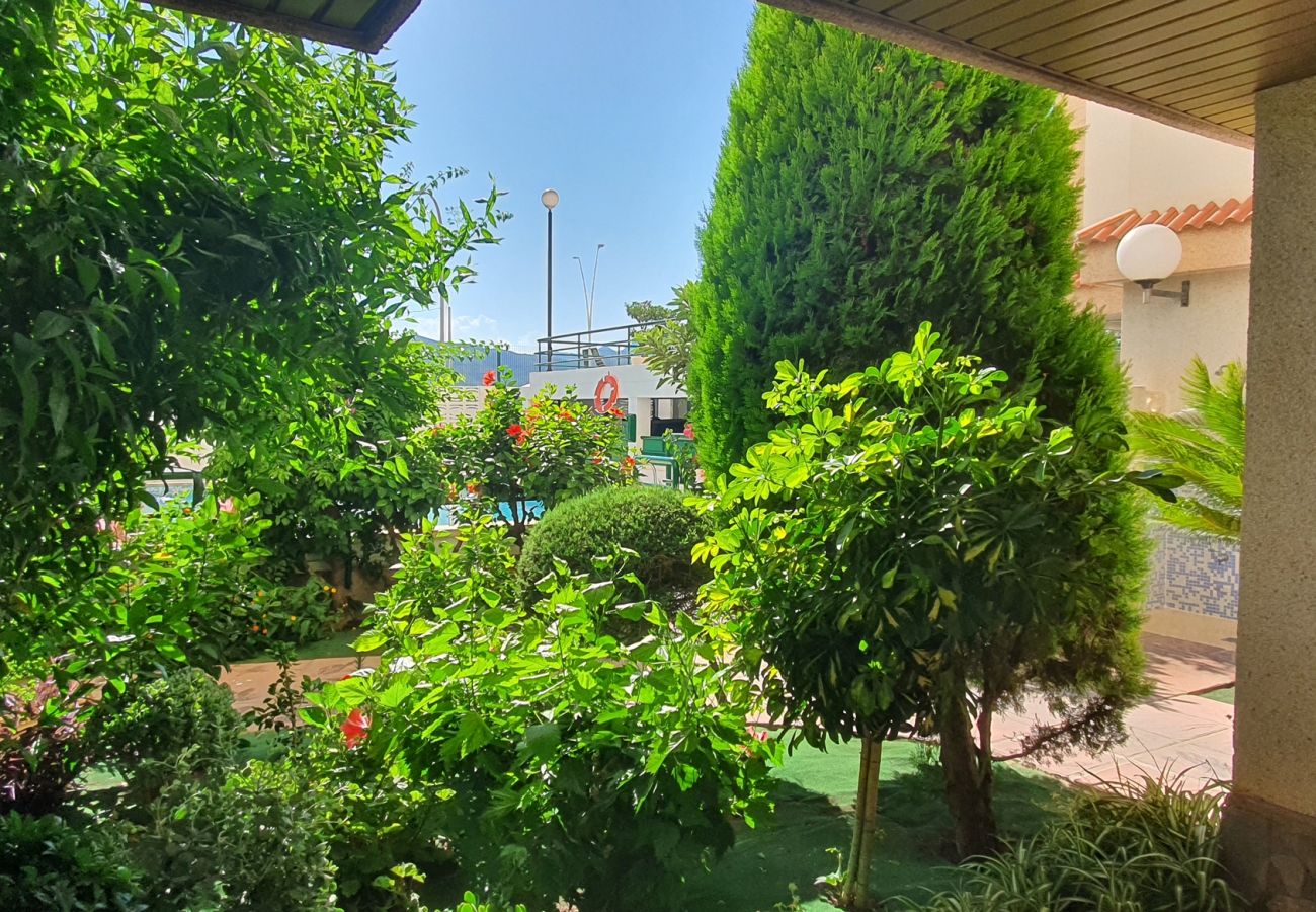 Apartment in Gandía - JARDIN VII - 1ª - 5º - B
