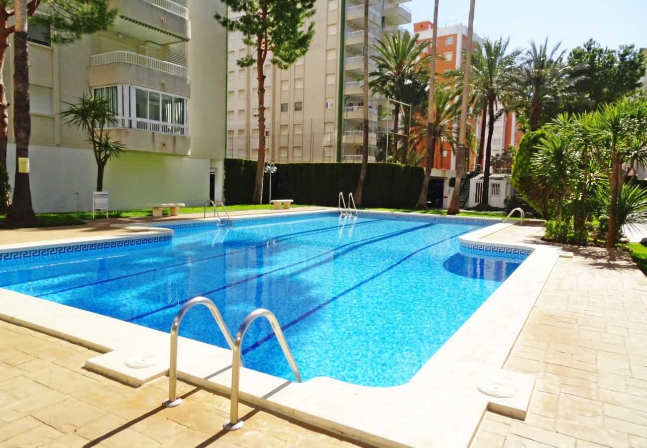 Apartment in Gandía - LANZAROTE BL 1 - 3º - 16