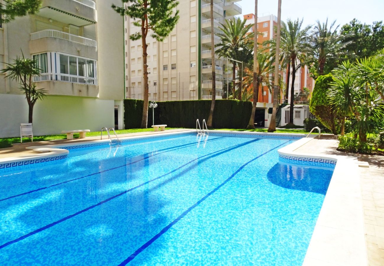 Apartment in Gandía - LANZAROTE BL 1 - 3º - 16