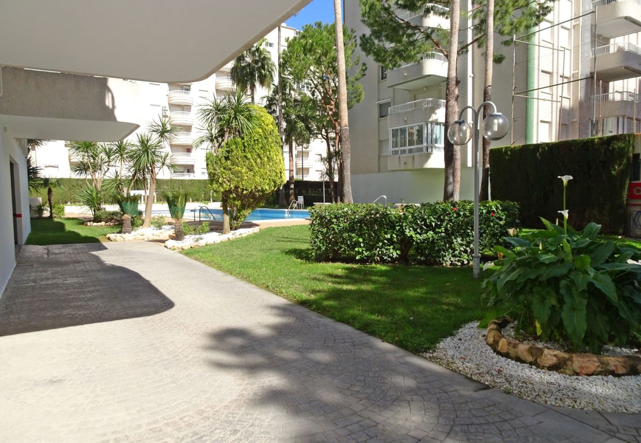 Apartment in Gandía - LANZAROTE BL 1 - 3º - 16