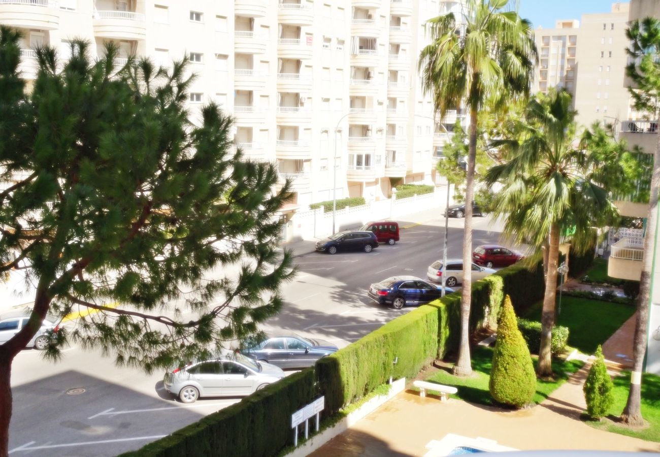 Apartment in Gandía - LANZAROTE BL 1 - 3º - 16