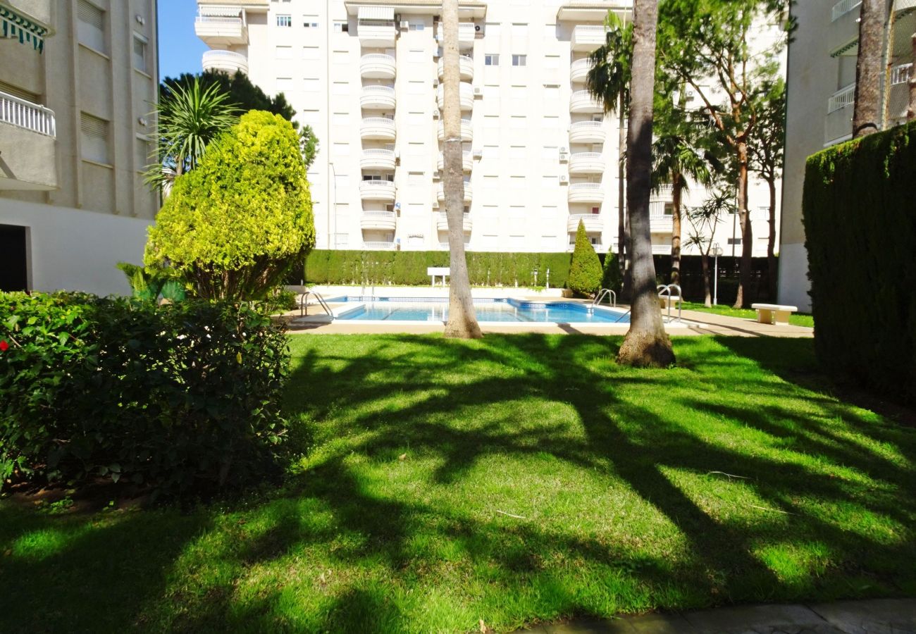 Apartment in Gandía - LANZAROTE BL 1 - 3º - 16