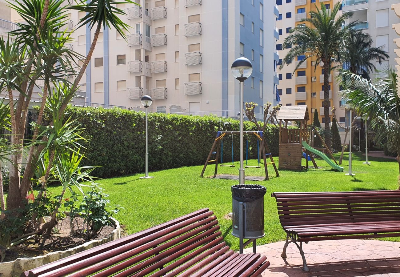 Apartment in Gandía - PALMERAS III - 2ª - 10º - C