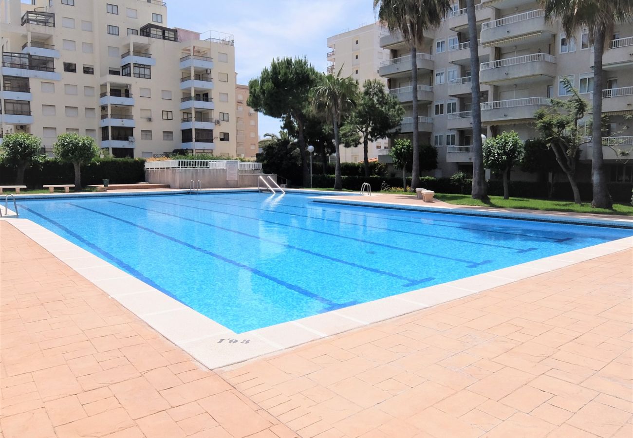 Apartment in Gandía - PARQUE 8 - 3ª - 4º - 8ª