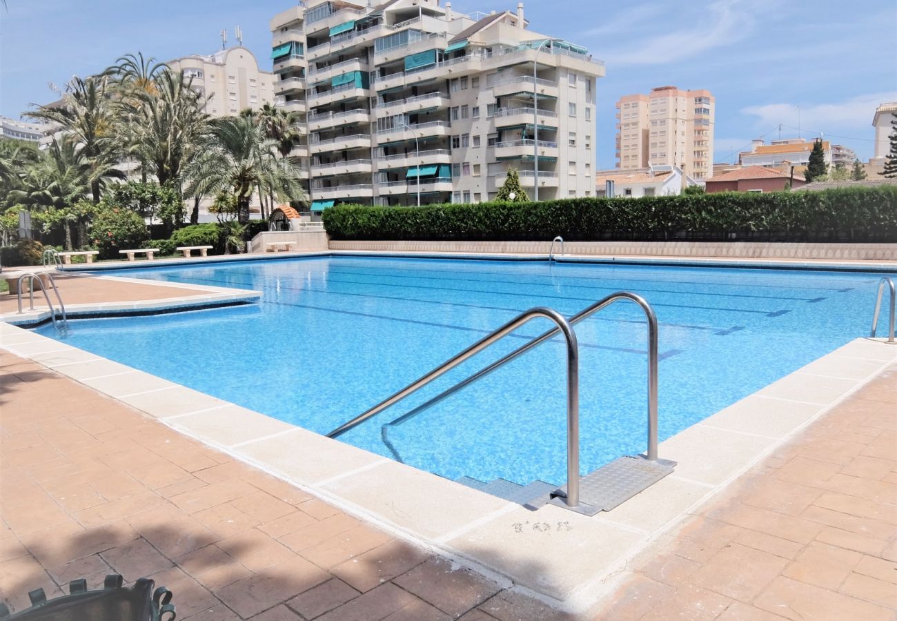 Apartment in Gandía - PARQUE 8 - 3ª - 4º - 8ª