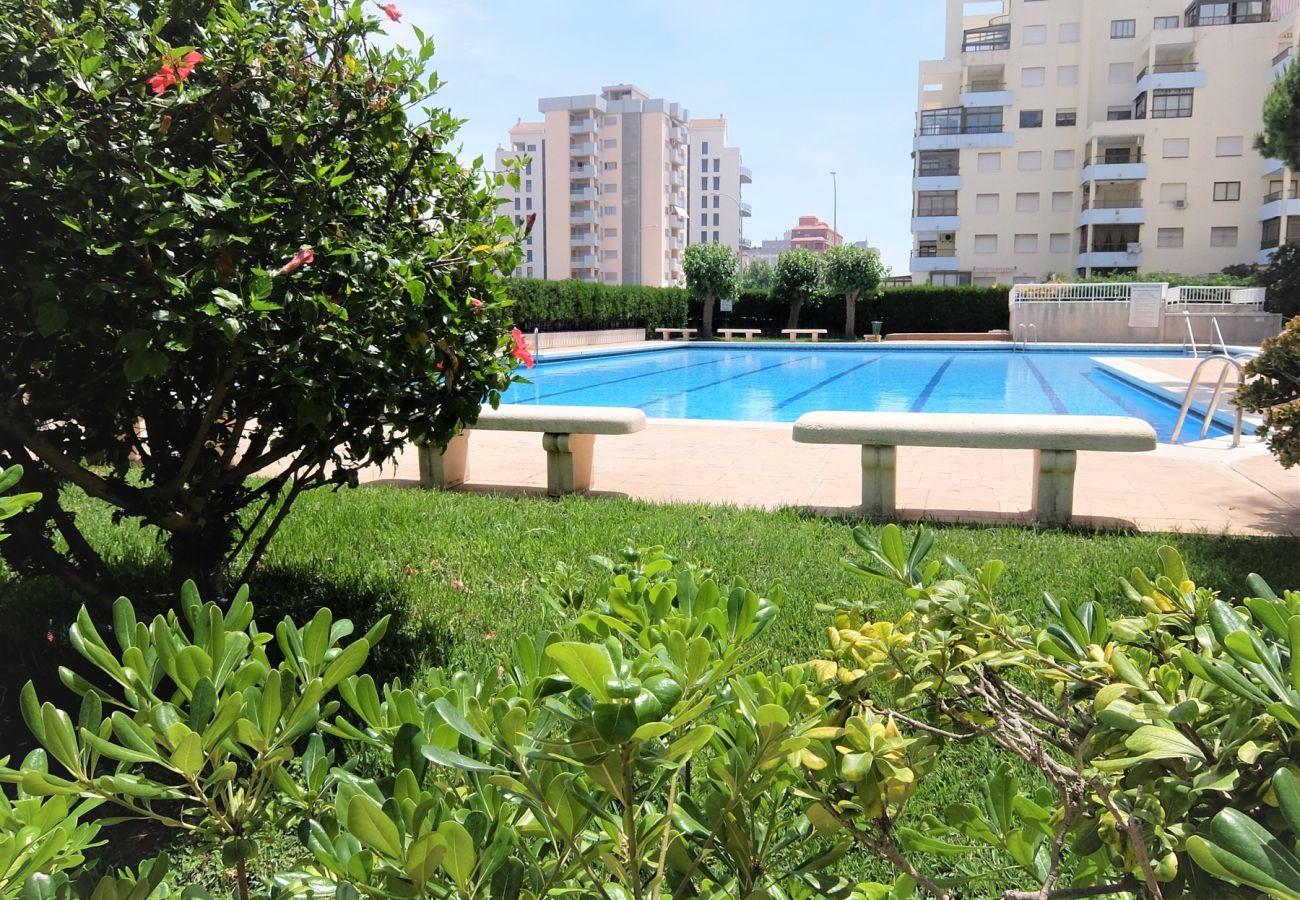 Apartment in Gandía - PARQUE 8 - 9ª - 2º - 4ª