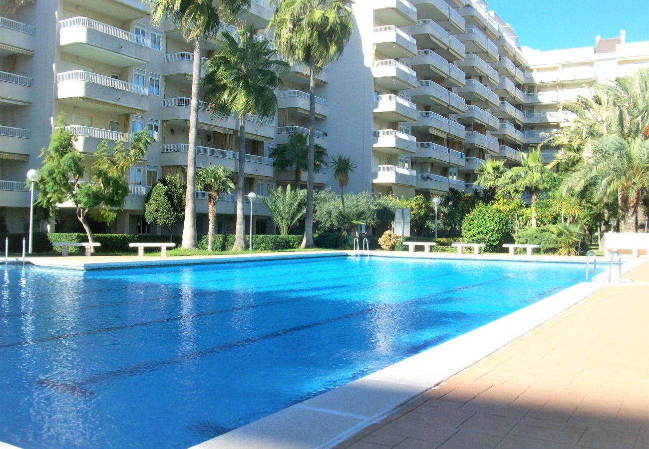 Apartment in Gandía - PARQUE 8 - 9ª - 2º - 4ª