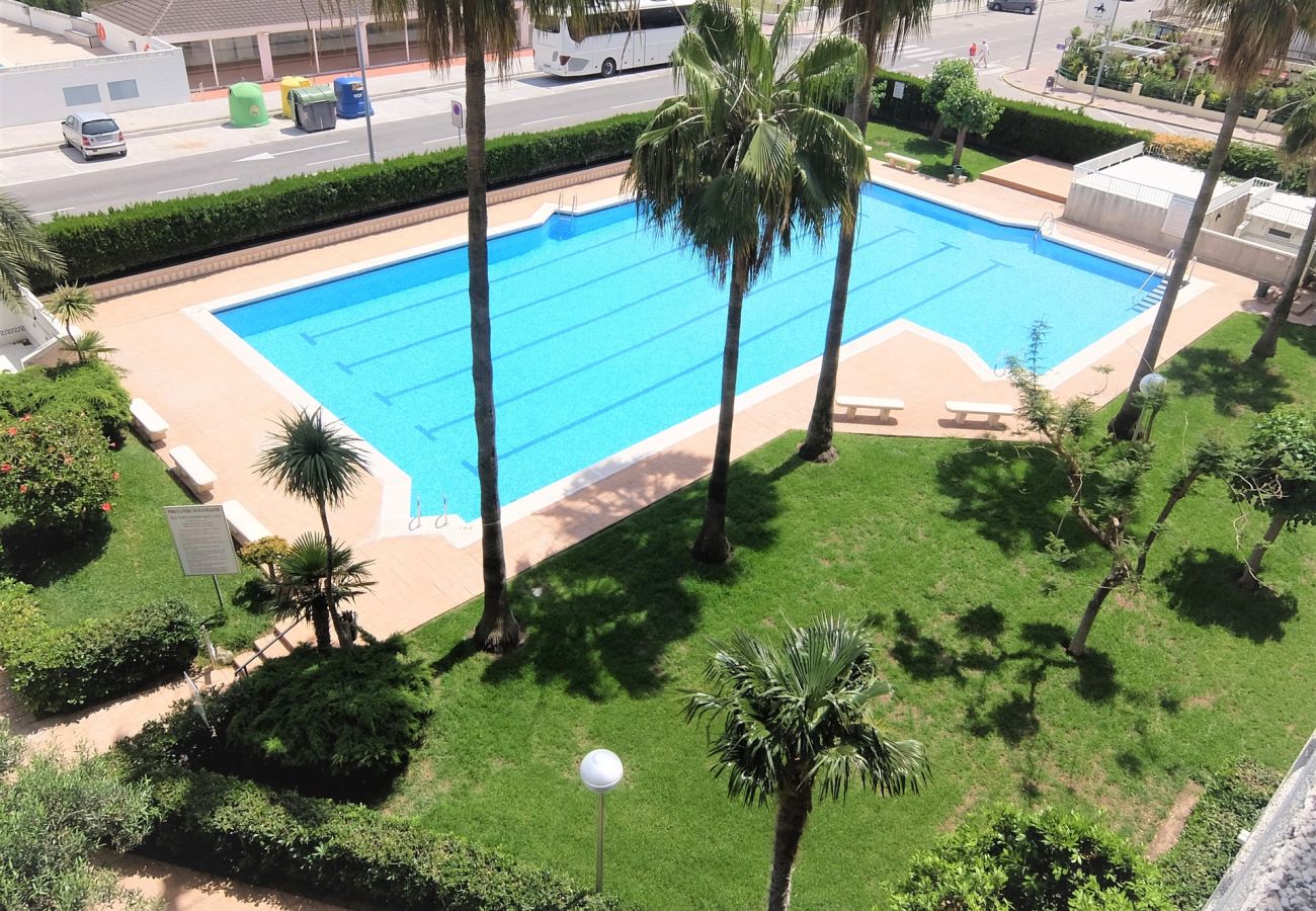 Apartment in Gandía - PARQUE 8 - 9ª - 2º - 4ª