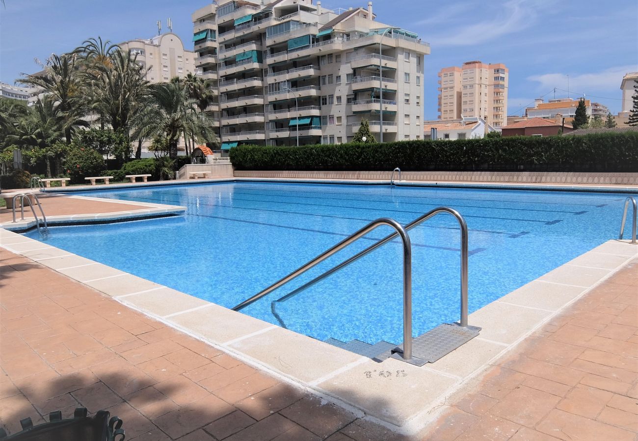Apartment in Gandía - PARQUE 8 - 9ª - 2º - 4ª