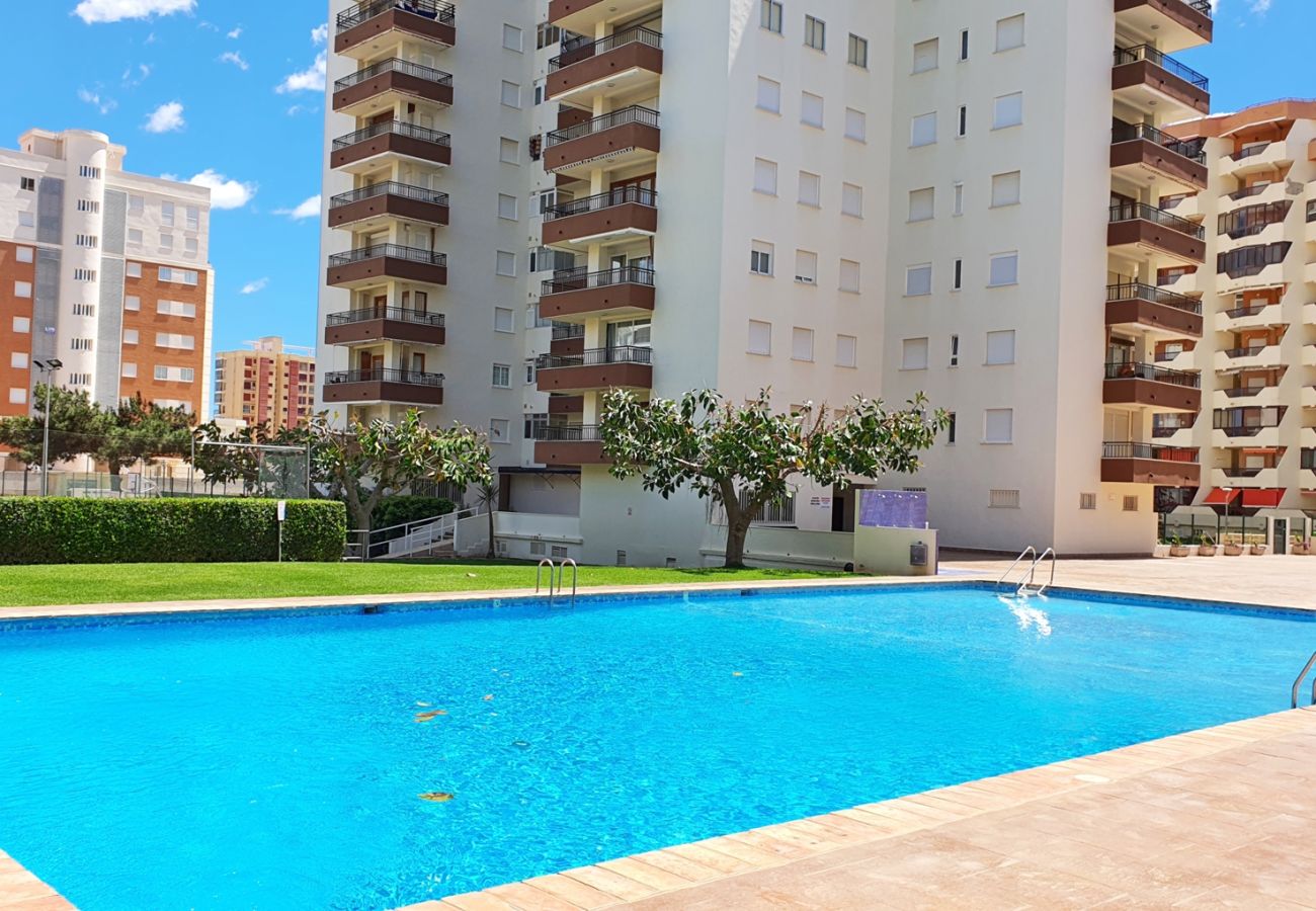 Apartment in Gandía - GEMINIS B - 3ª - 4º - D