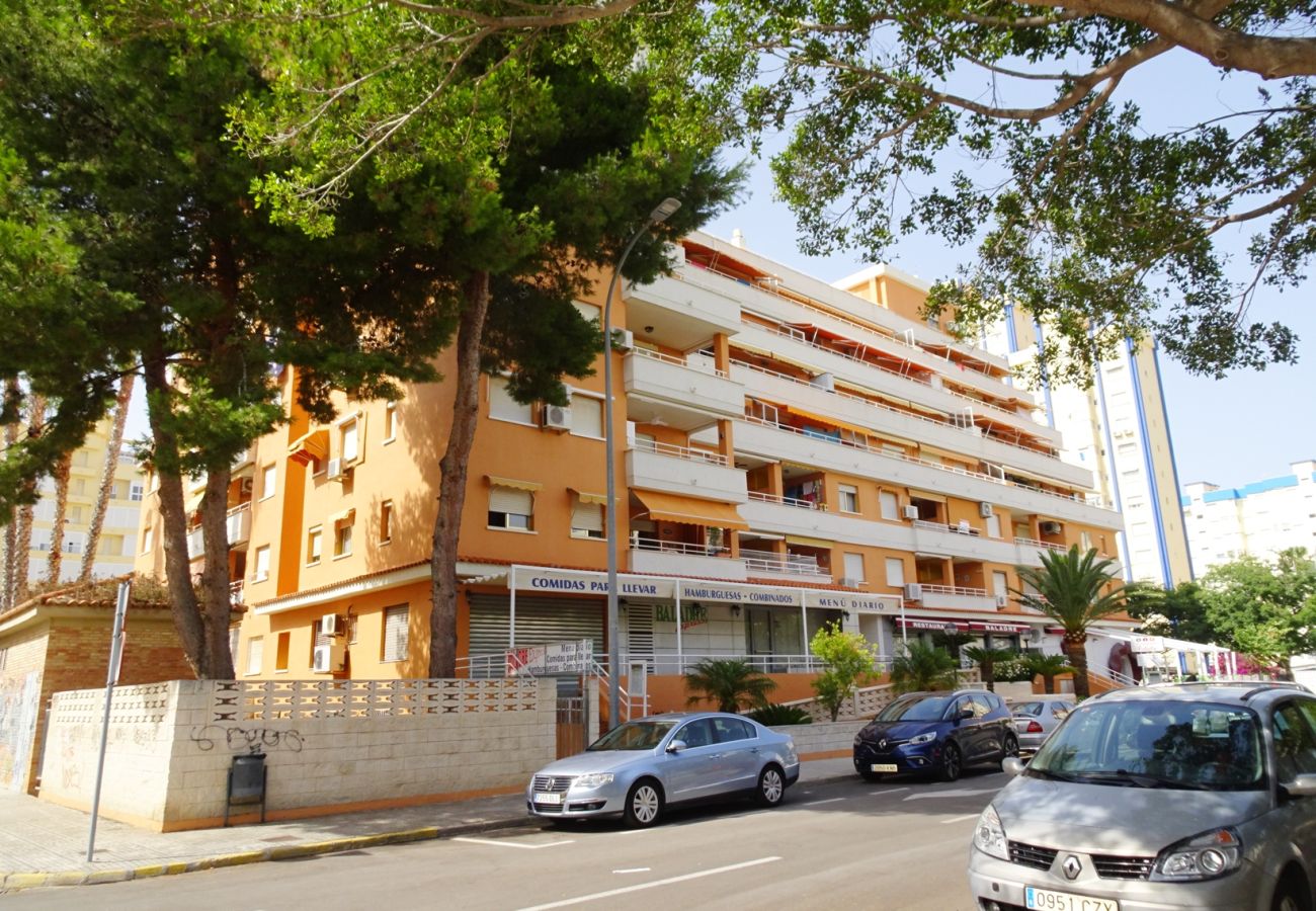 Apartment in Gandía - PLAY GANDI 1ª - 7º - 6ª
