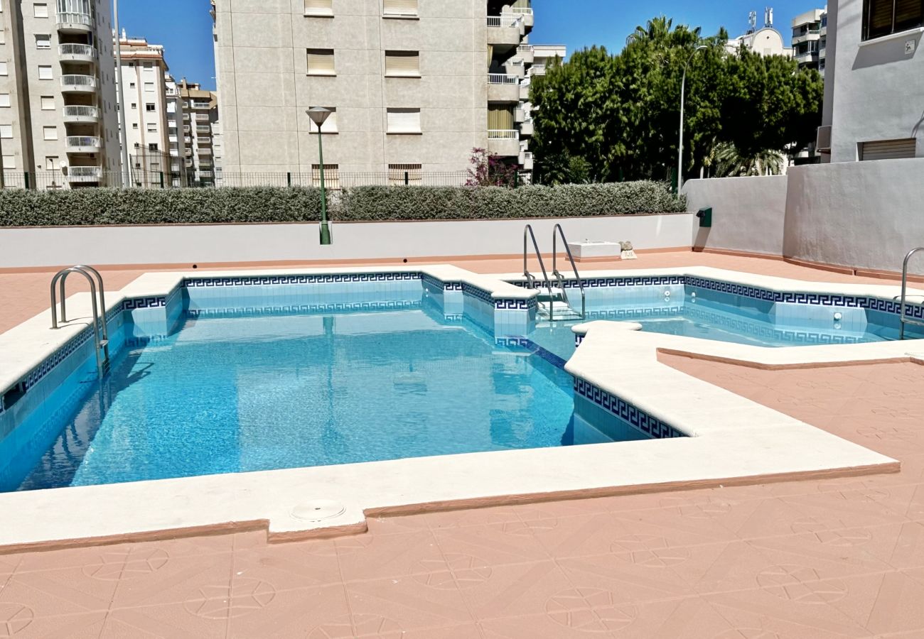 Apartment in Gandía - REYNA 7º - 33 Apartment in Gandía - REYNA 7º - 33