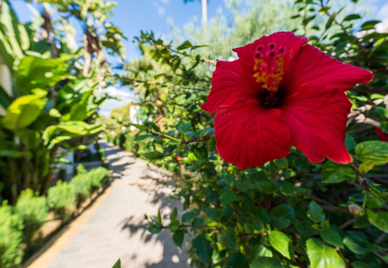 Terraced House in Nerja - Jardines de Burriana Deluxe by Casasol