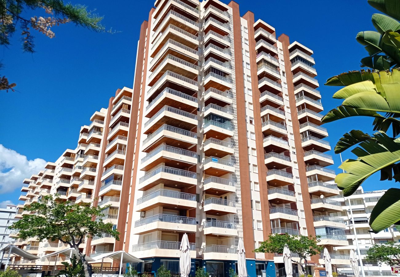 Apartment in Playa de Gandía - 1.Torres del Mar 15º pta.59