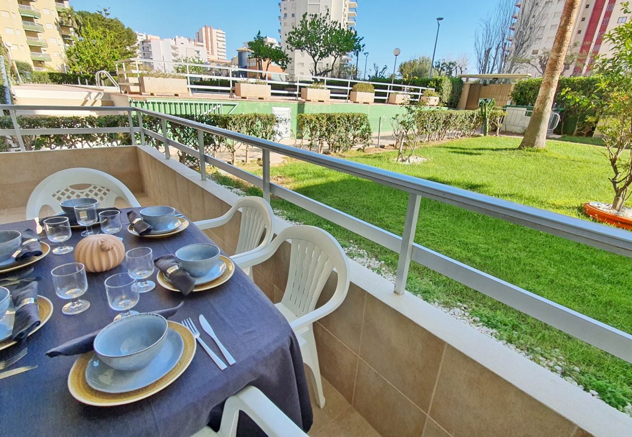 Apartment in Gandía - ZEUS Bajo - A