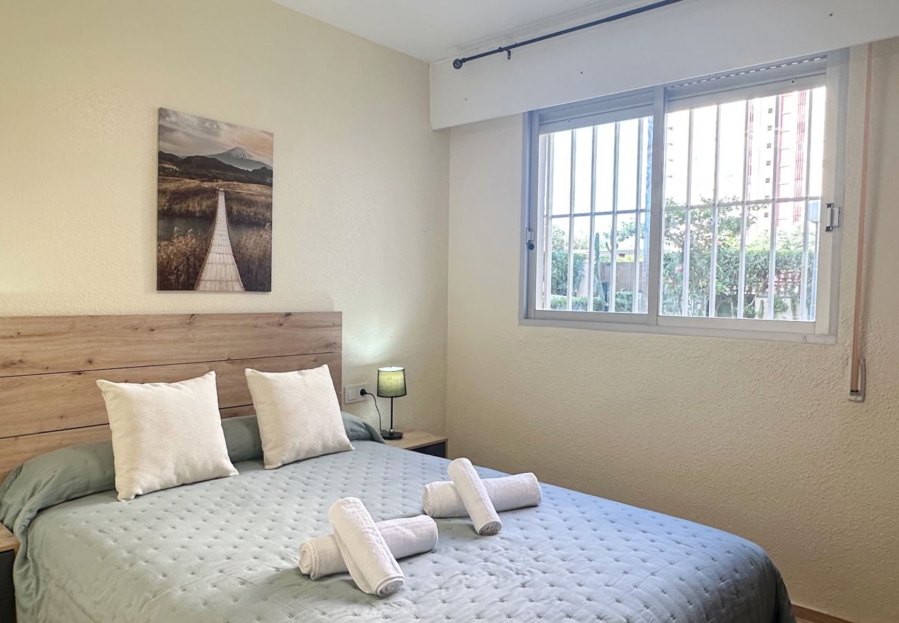 Apartment in Gandía - ZEUS Bajo - A