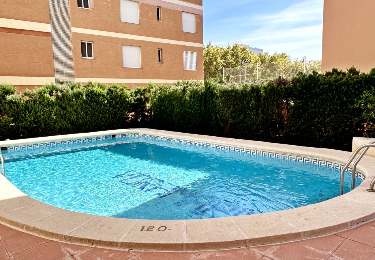Apartment in Gandía - VORAMAR III - 1ª - 1º - C