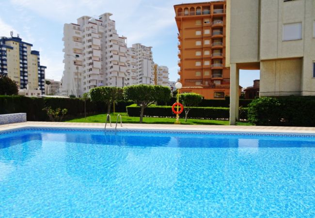 Apartment in Gandia - ROMA XI - 2ª - 5º - 9ª